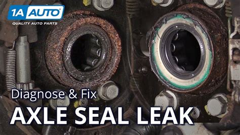 flex seal oil leak|Oil leak